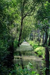 Canaux du Marais Poitevin