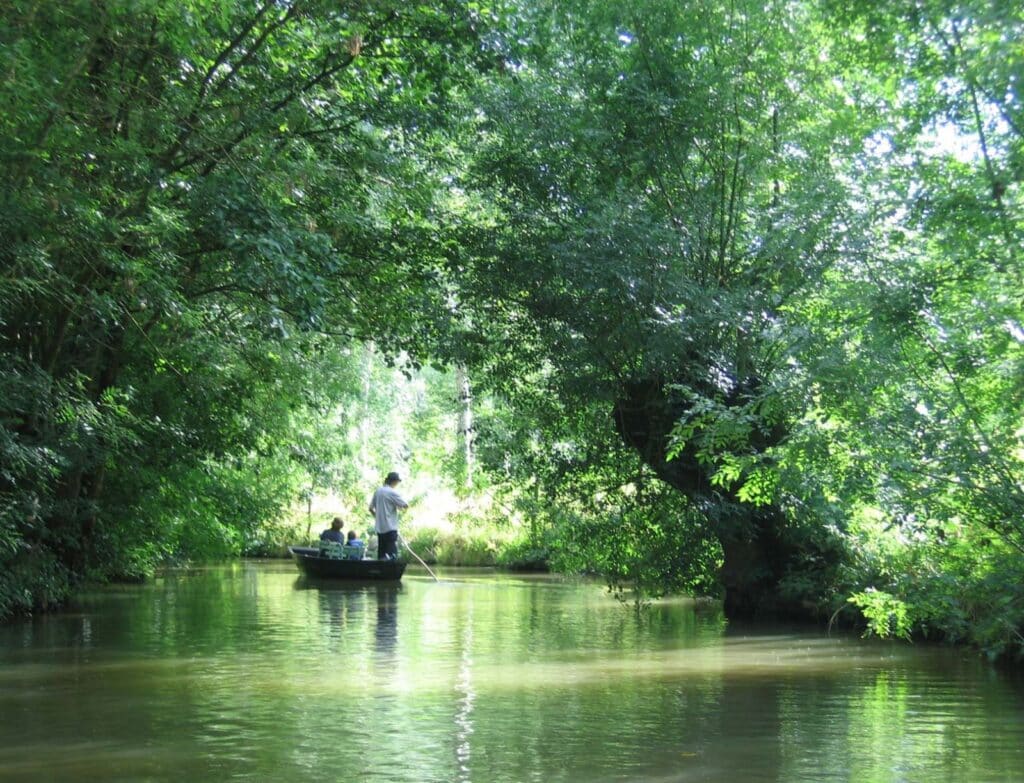 Paysage du Marais poitevin